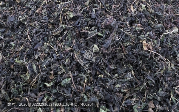 冬凌草茶