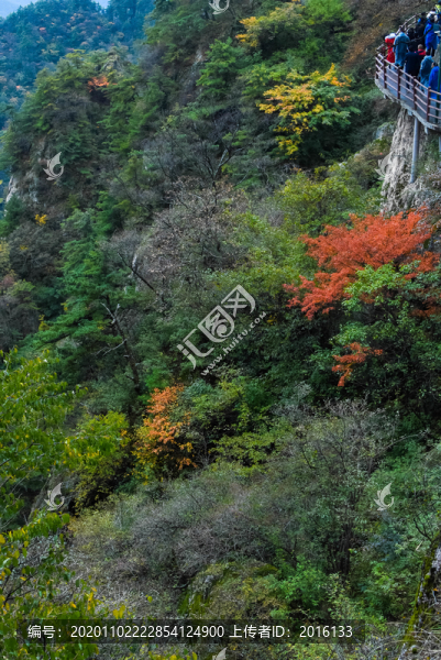 老君山