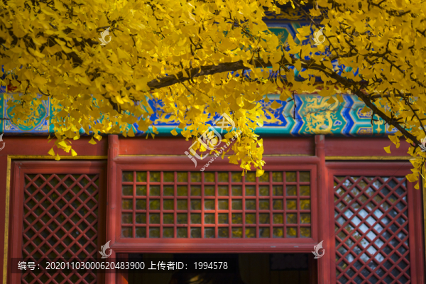 秋天