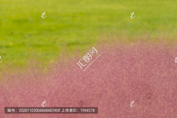 粉黛