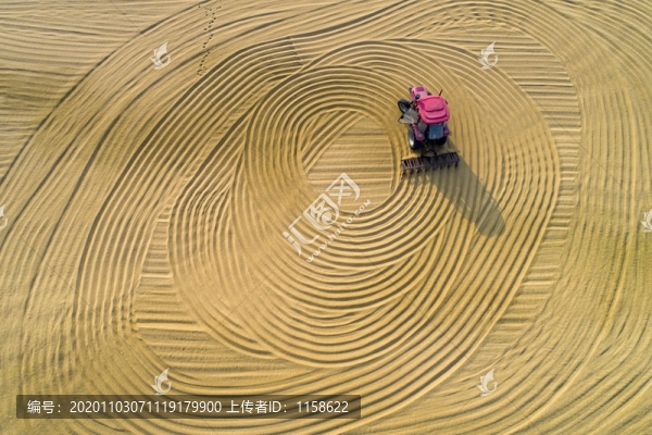 秋收圖