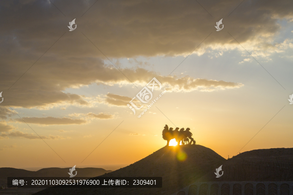 沙漠駝影