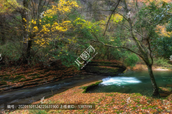 漢中黎坪國家森林公園
