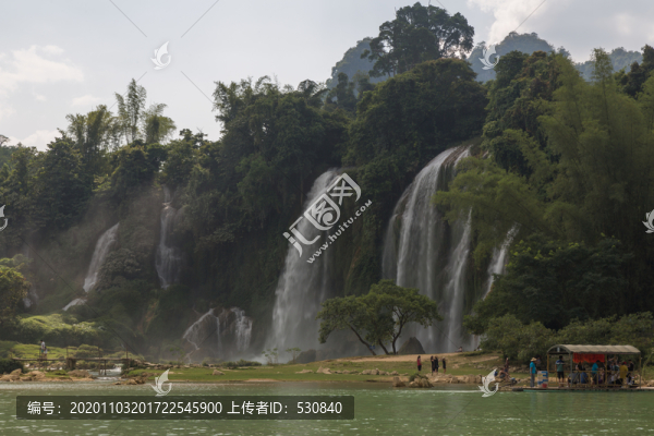水景和植物