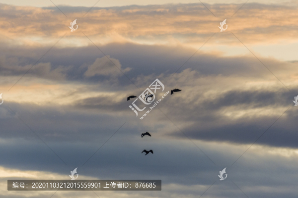 空中芭蕾