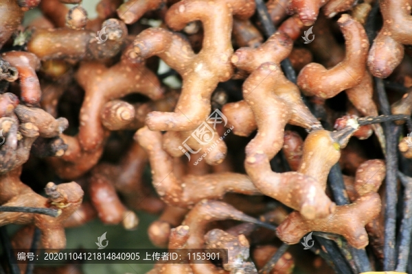 拐棗