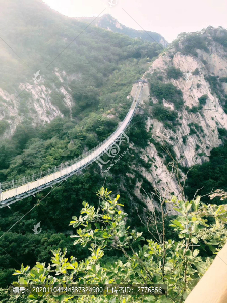 吊橋自然風(fēng)光