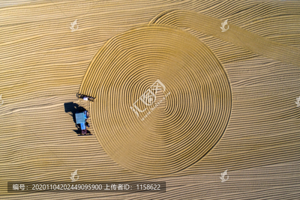 秋收?qǐng)D