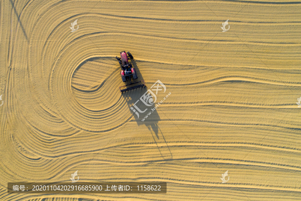 秋收圖