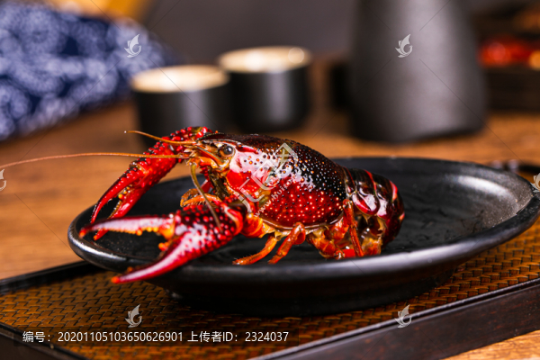 麻辣小龍蝦拍攝