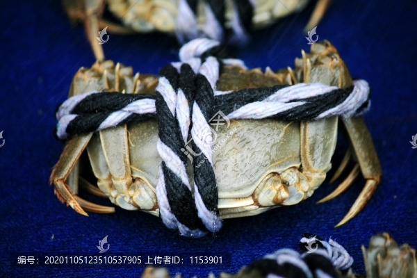 大閘蟹