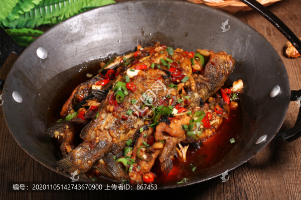 吊鍋石斑魚