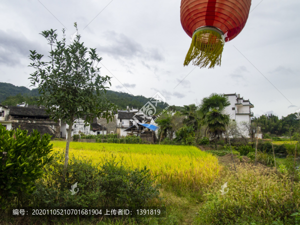 婺源嚴(yán)田古樟民俗園