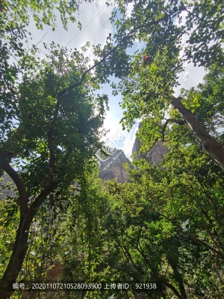 雁蕩山