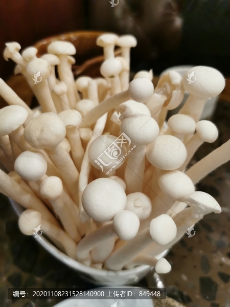 火鍋蘑菇