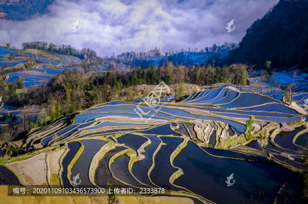 元陽梯田