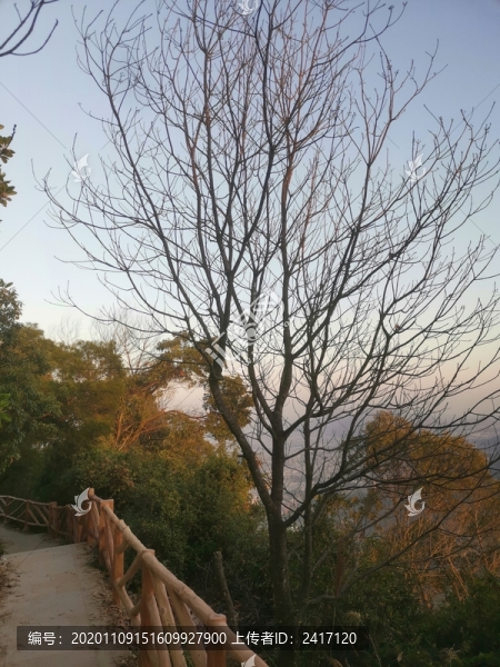 夕陽西下天界石棧道風景