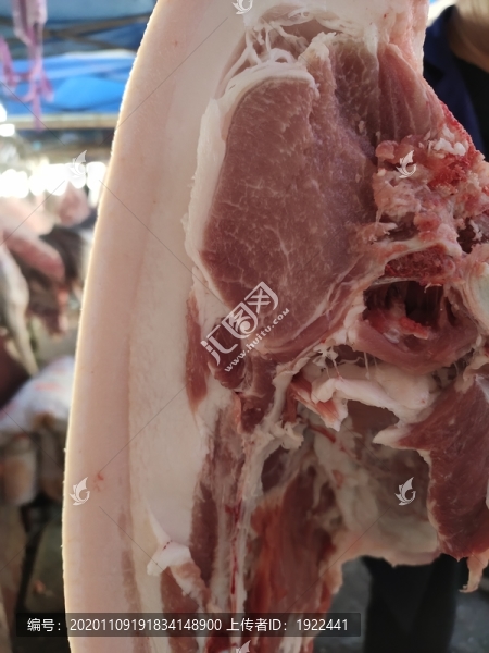 豬肉
