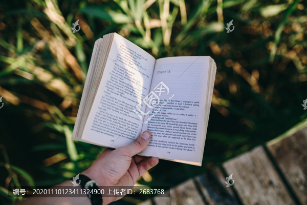 看書