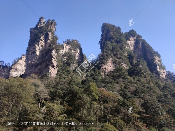 張家界國家森林公園