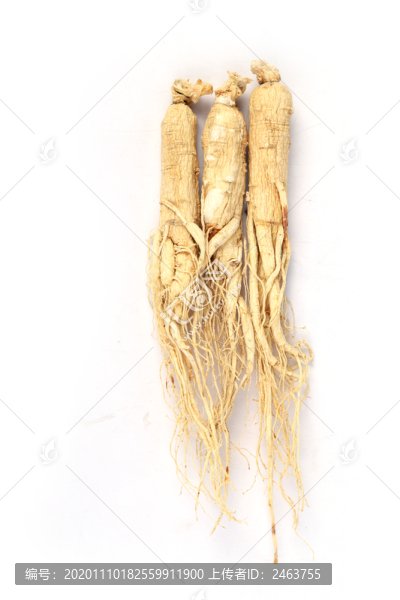 人參細(xì)節(jié)圖