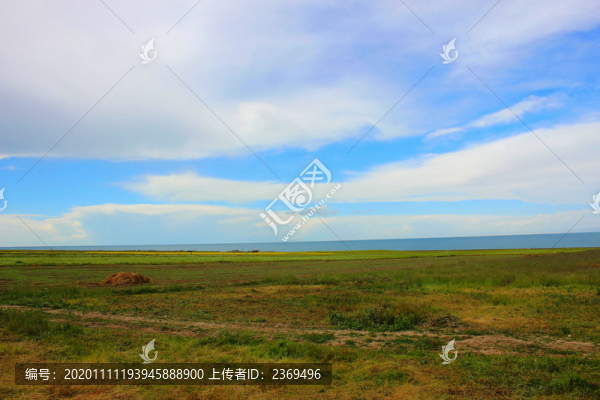 湖邊的田野