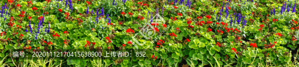 英國風(fēng)光