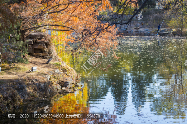 秋景