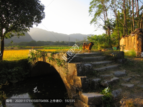 夕陽田園