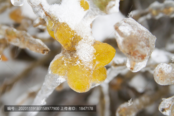 長(zhǎng)春凍雨