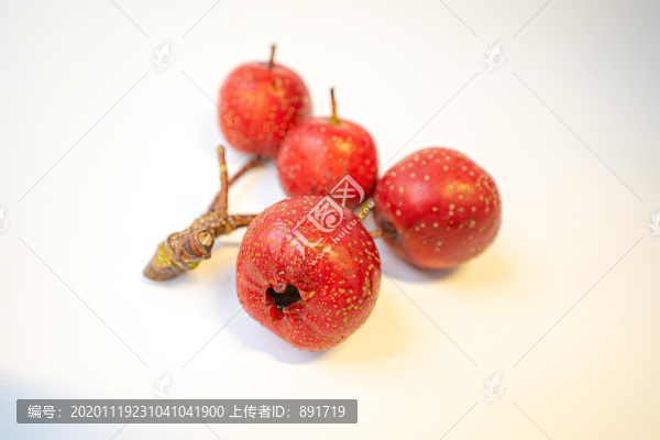 山楂