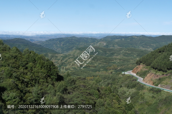山