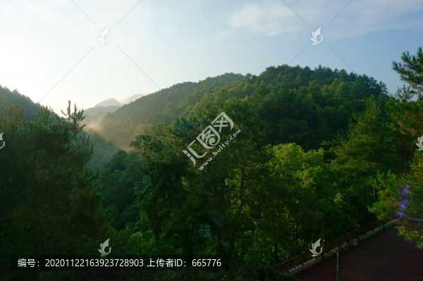 高山晨霧