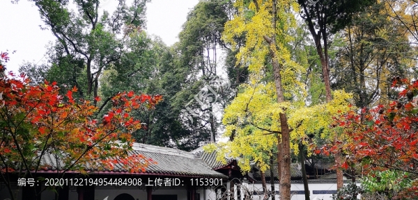 杜甫草堂秋色