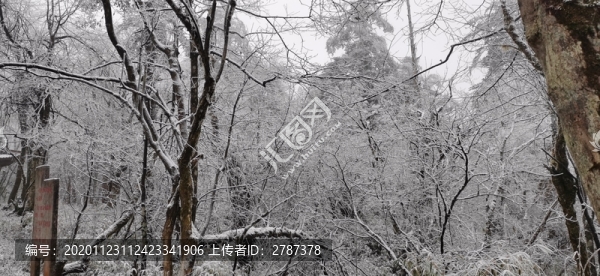 雪景