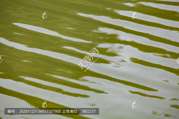 水紋