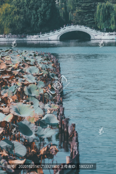 濟(jì)南大明湖景區(qū)
