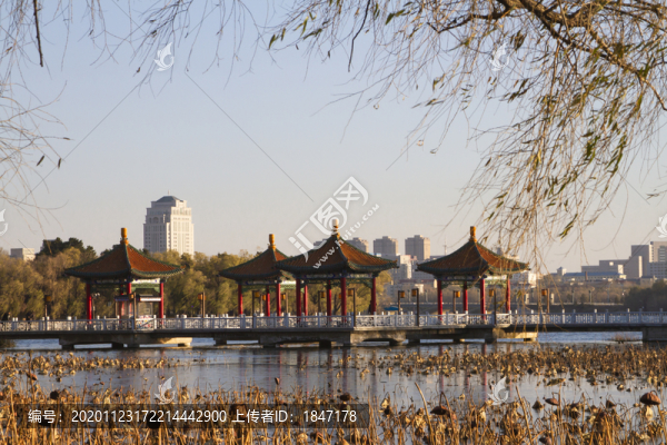 南湖公園
