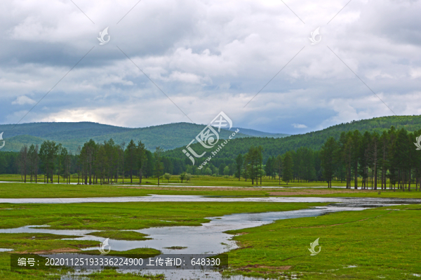 樹林
