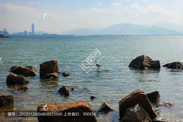 深圳灣公園