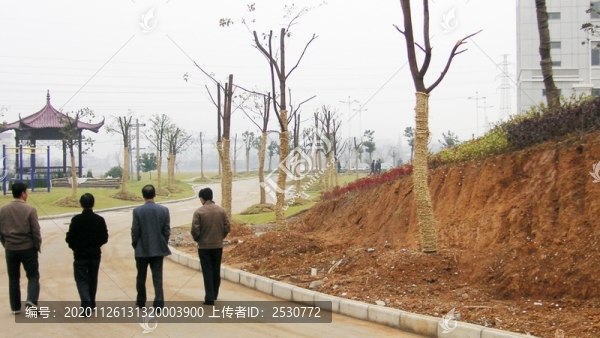 新建小區(qū)
