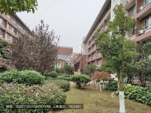 教學(xué)樓與綠化