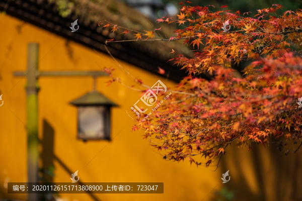 靈隱寺秋色