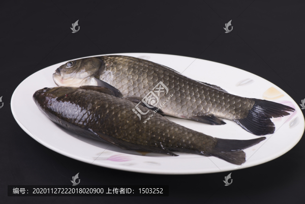 紅燒鯉魚
