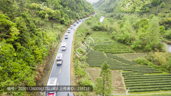 車隊