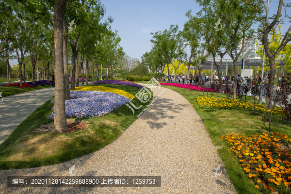 公園花草樹木