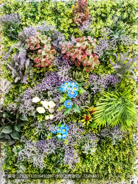 綠植墻