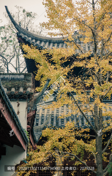 秋天的杭州孔廟