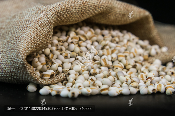 薏米仁