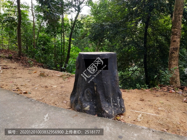 山路隱形垃圾桶